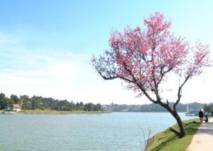 Description: https://1.bp.blogspot.com/-2eNYW8IcqS0/UEps3cz2sXI/AAAAAAAABSA/fPxNJz9wqzA/s640/27+2+041105Anhdao.jpg