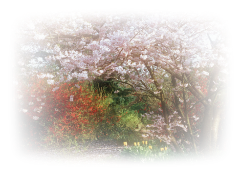 http://png-images.bloglap.hu/kepek/201112/0_tajkep__tavasz.png